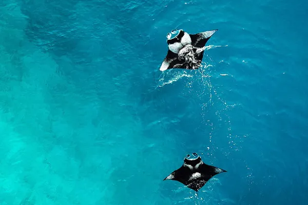 snorkeling bali