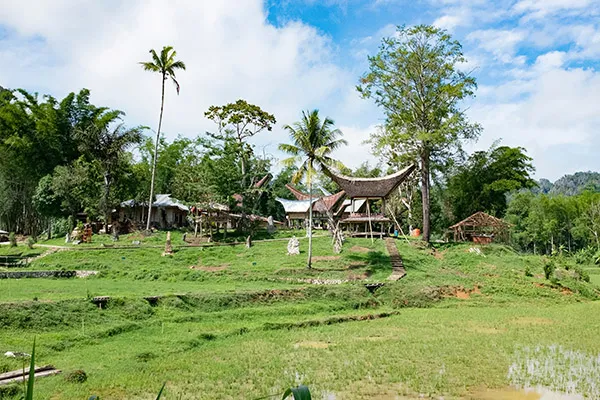 tana toraja sulawesi