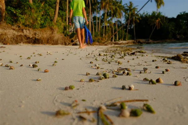 mare Raja Ampat