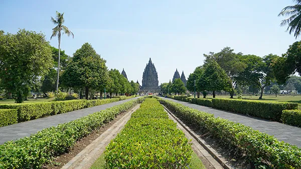 spiaggia rosa Indonesia